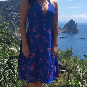 LuLu’s Cobalt Blue Dress